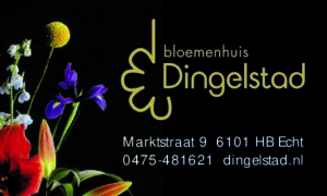 Dingelstad Logo