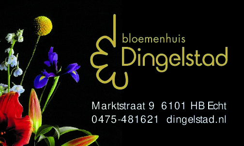 Dingelstad Logo